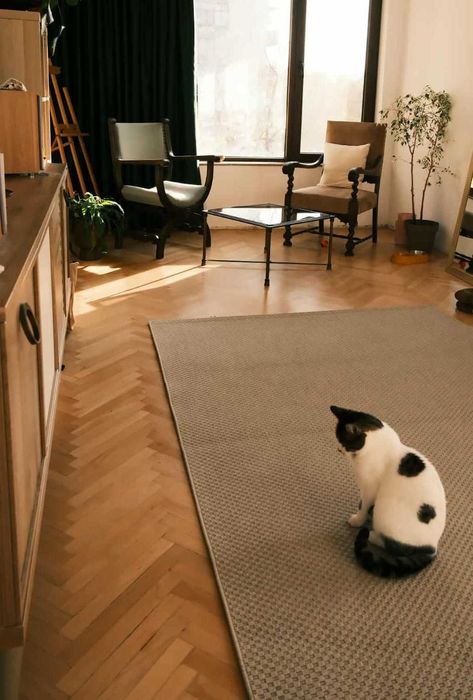 Реновиран апартамент под наем