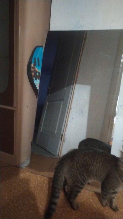 Большое зеркало прямоугольной формы