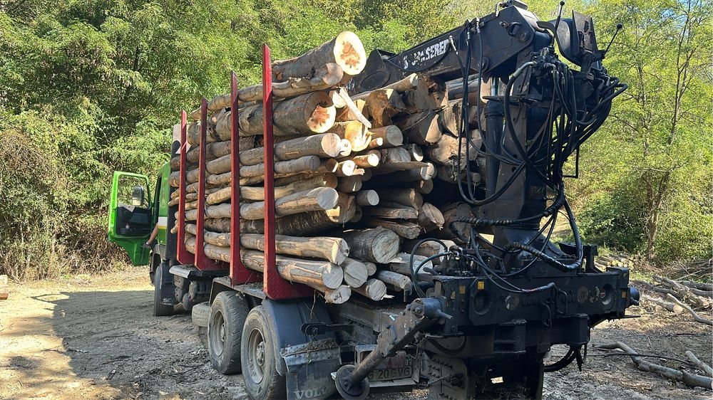 Lemne de foc FAG STEJAR