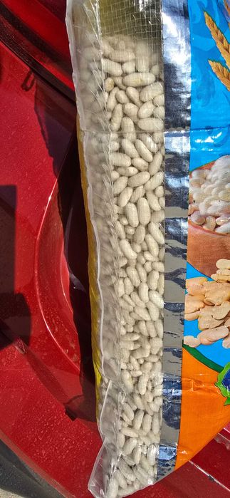 Fasole alba premium – Calitatea Nr. 1 noua 2025
