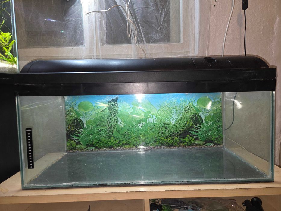 Acvariu 100 litri