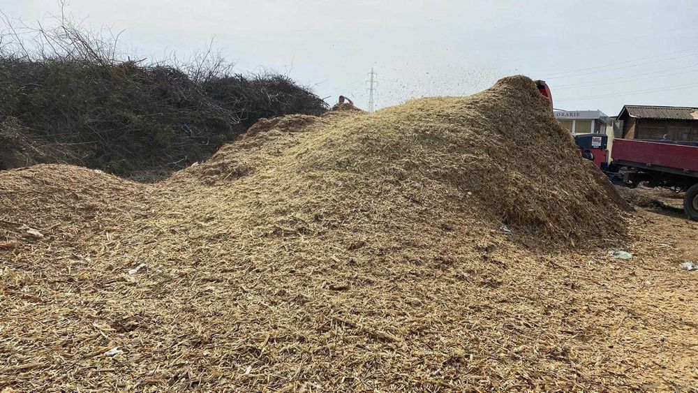 Tocătură  crengi de foioase
Mulci pt. grădină ,talaj, rumeguș   2 m. 3