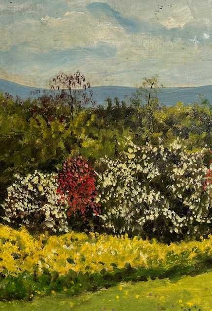 SUPERB! ”CRÂNG ÎNFLORIT” Tablou ulei/car 80x60cm+R, Sem A Rafael-COTAT