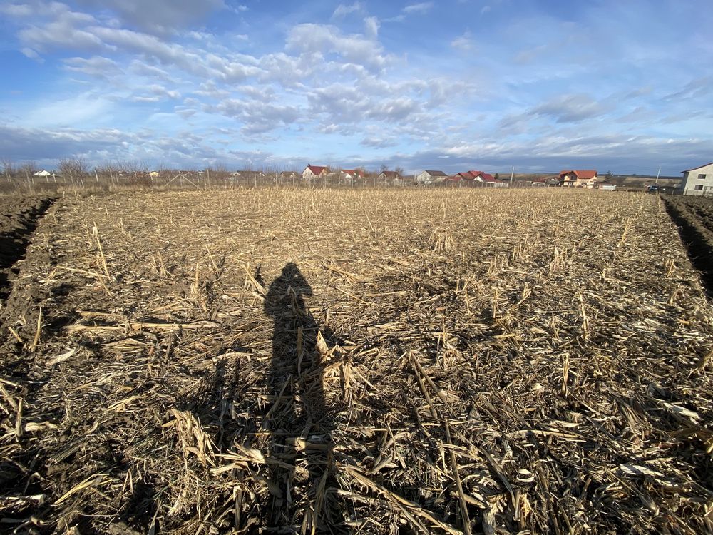 Teren intravilan 4200 mp Vadu Moldovei