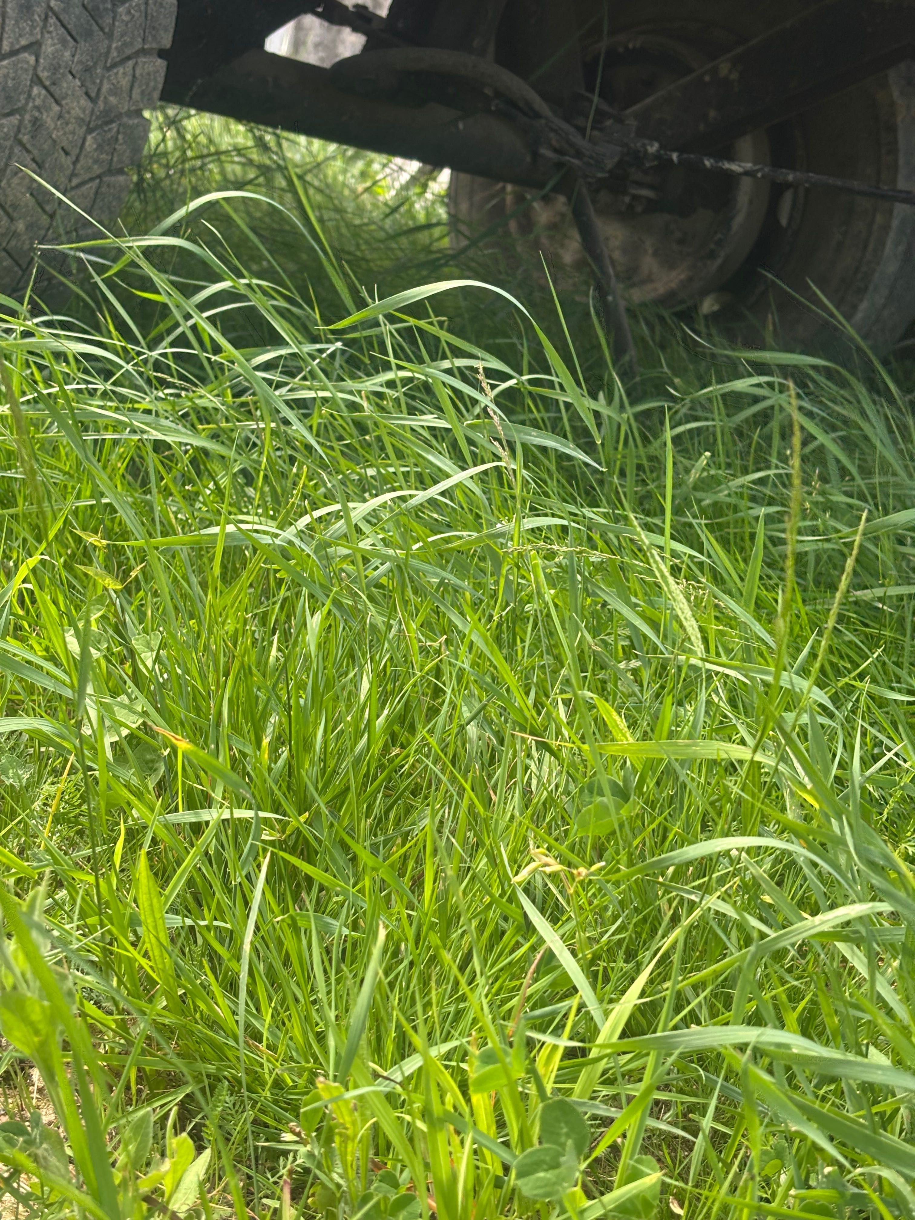 Remorca basculabila 5t Agricola