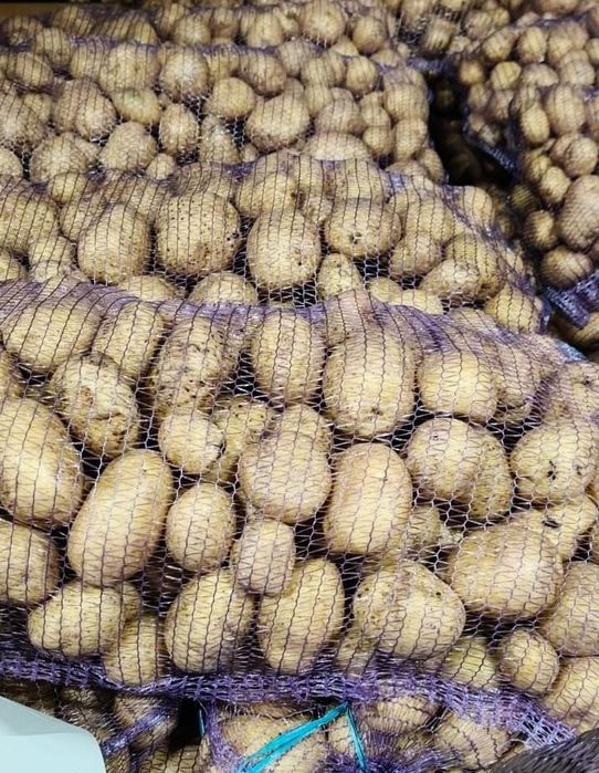 Продам картофель на прямую от кх