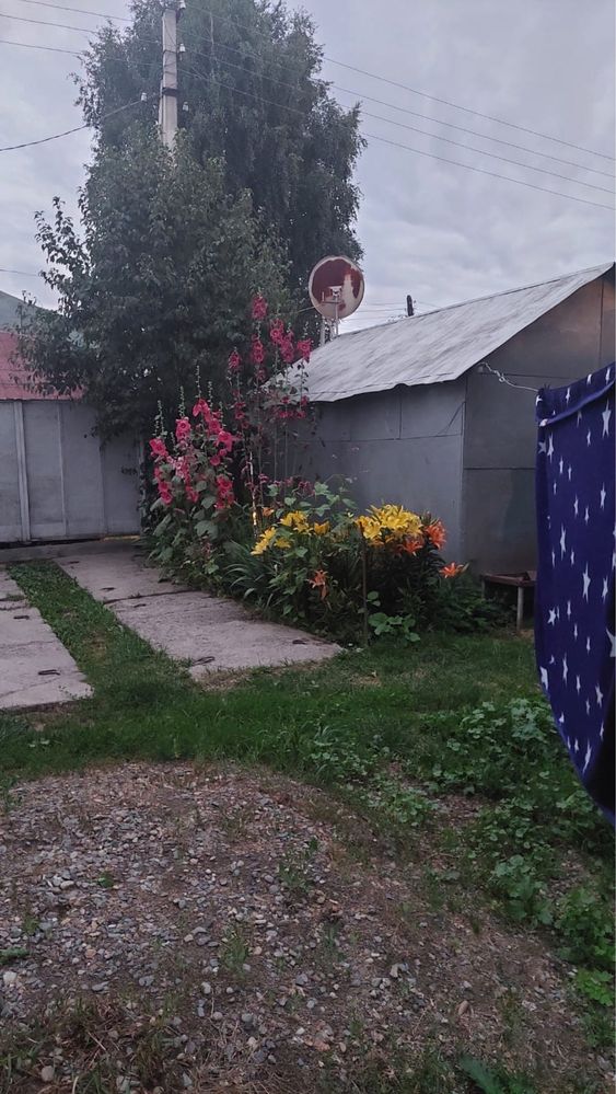Продам дом в поселке Зубовск, район Алтай, ВКО
