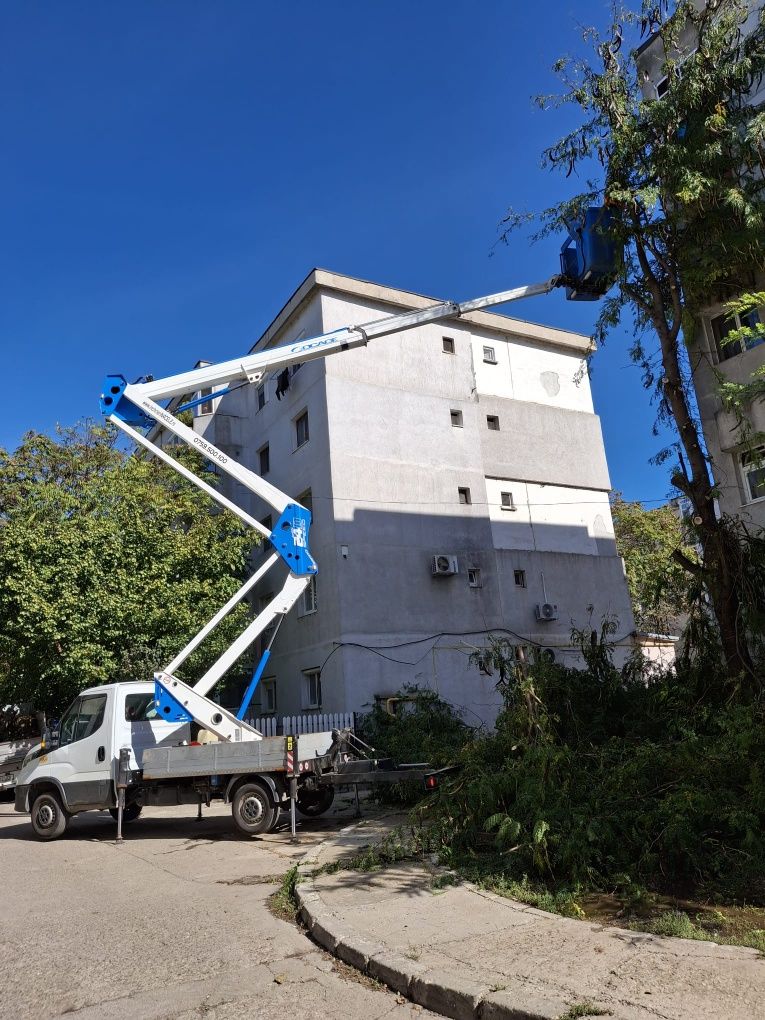 Toaletare Arbori/Alpinism Utilitar Rapid 24/7.
