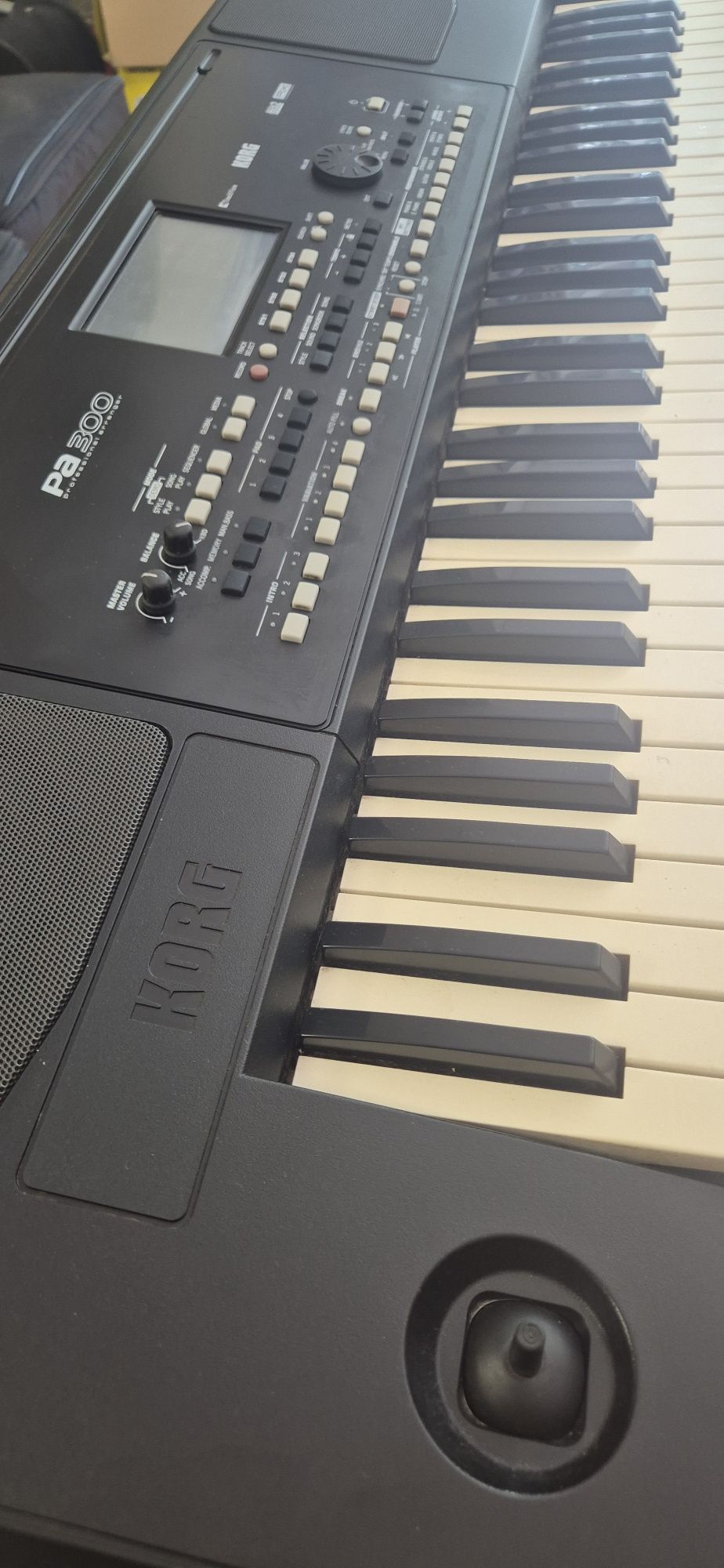 Korg Pa 300  Корг Па 300
