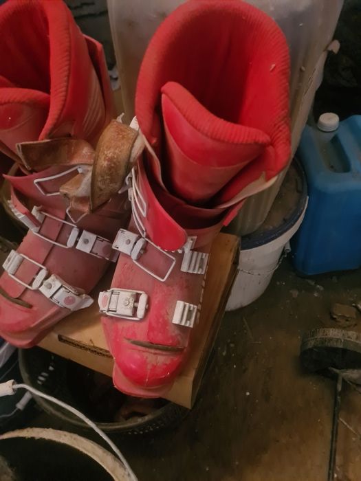 Ботинки для лыжи