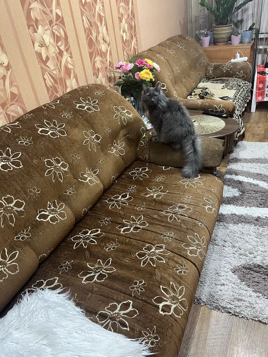 Продам 2 дивана и кресло, в хорошем состоянии