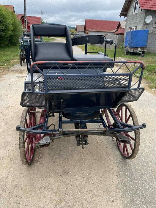 Trăsuri aduse din Germania