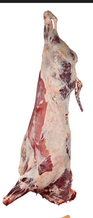 Мясо говядина молодняк