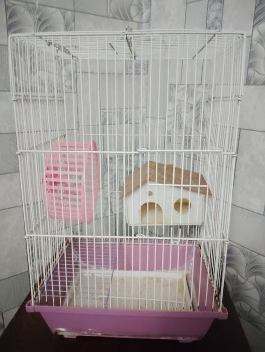 Клетка для грызунов, и птиц!