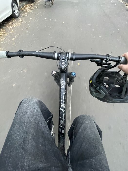 Dartmoor hornet 2023