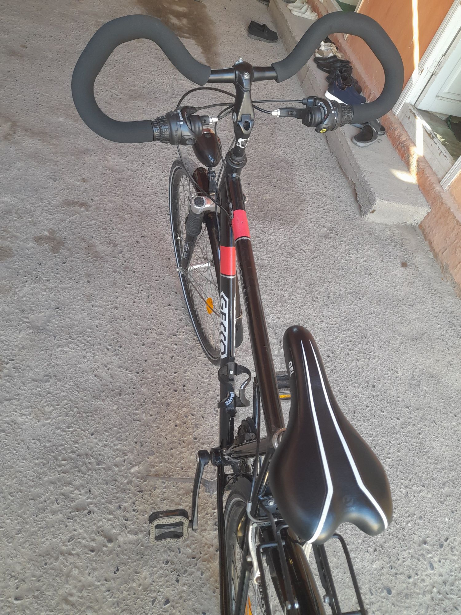 Velosiped nomi gecco