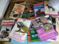 Книги о разных домашних животных