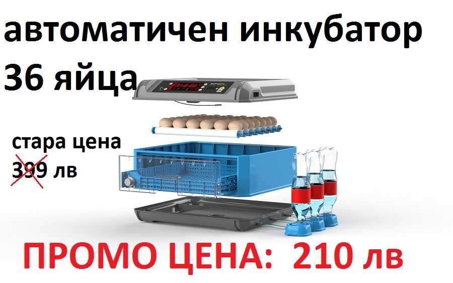 ПРОМО! Автоматичен смарт инкубатор за 36 яйца.
