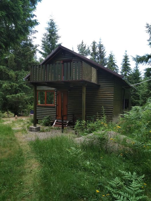 Teren și cabana de vanzare in Muntii Apuseni.