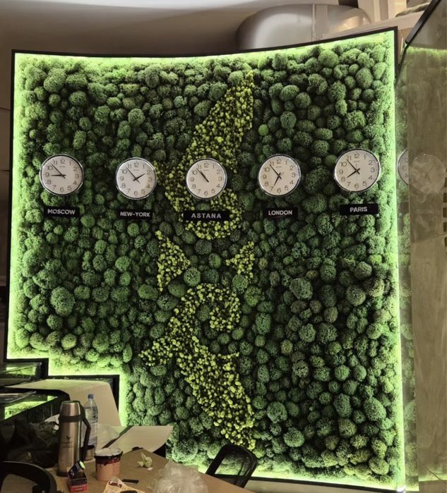 Стабилизированный мох пано