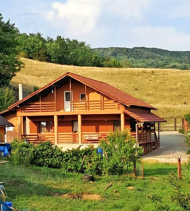 Casă de Vânzare comuna Bunești