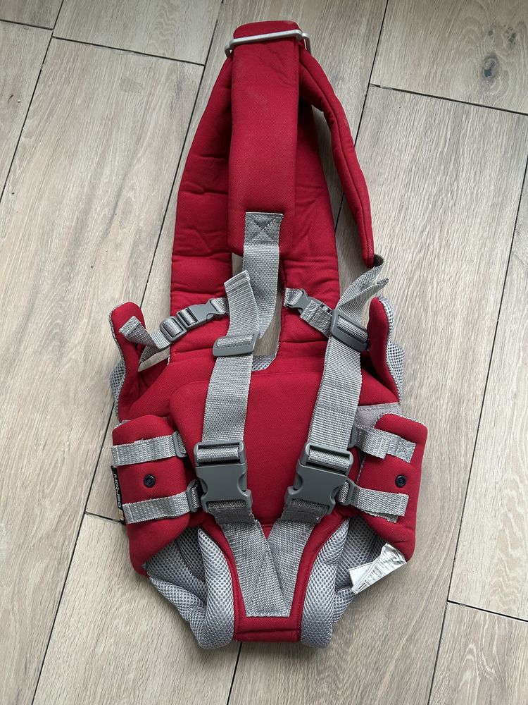 Кенгуру Bertoni