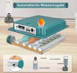 Incubator complet automat
