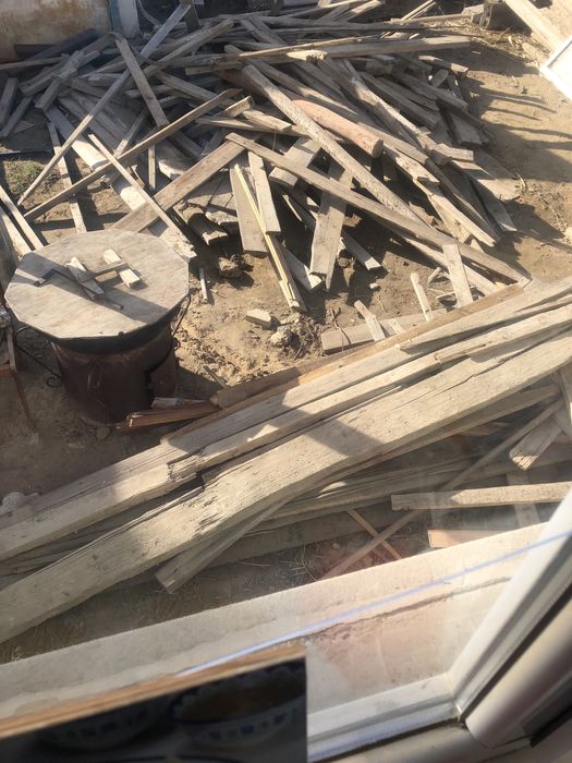 Агаштар тиген тиген!