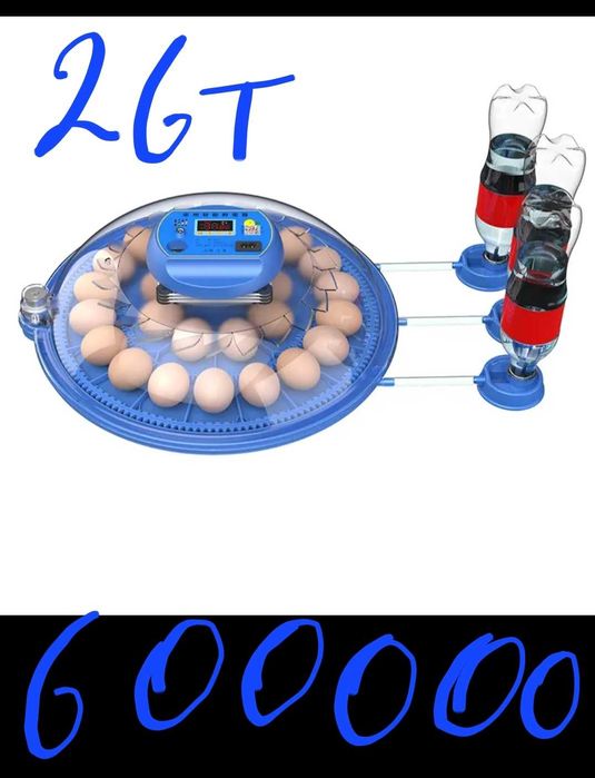 Инкубатор янги 12та30т64 80т 120т