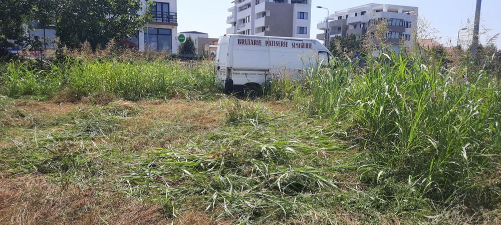Curățare -defrisare terenuri iarba arbusti copaci ambrozie