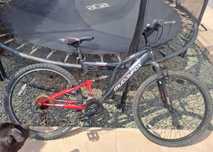 Bicicleta.Copii si adulti