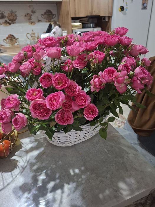 Раушан гул сатылады