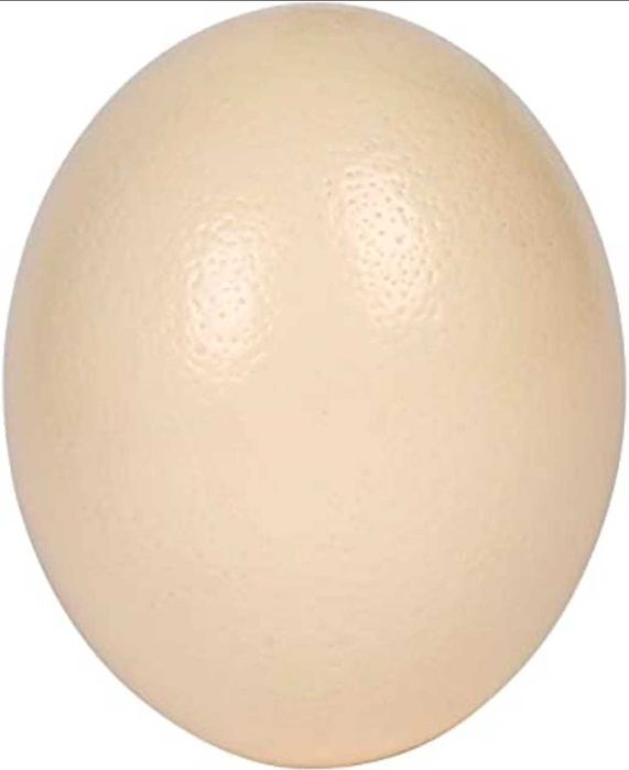 Продавам щраусови яйца