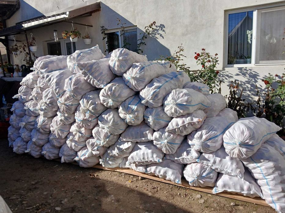 Mere suc, tuica si industrie