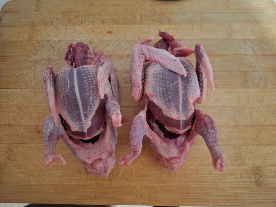 Кептер еті, мясо голубя мясных пород