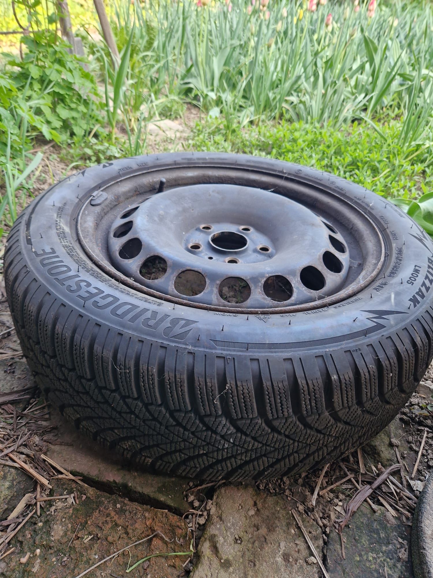 Jante roti anvelope iarna 205/55 R16