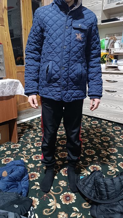 Kurtkalar har hil razmerda 50 dan