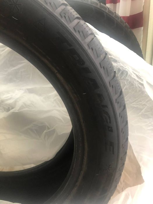 Зимние шины Triangle