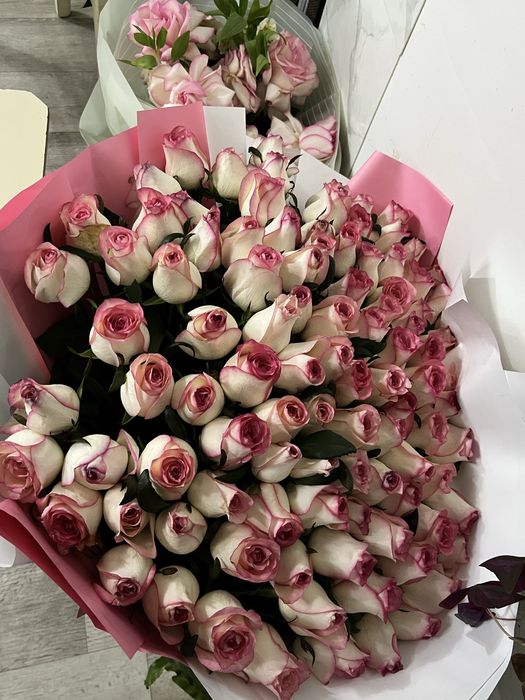 101 роза розовый красивый