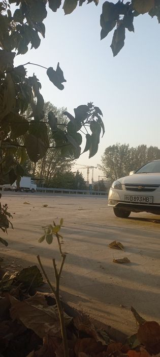 БИЗНЕС УЧУН ҚУЛАЙ ЖОЙ! Срочно сотилади!!!