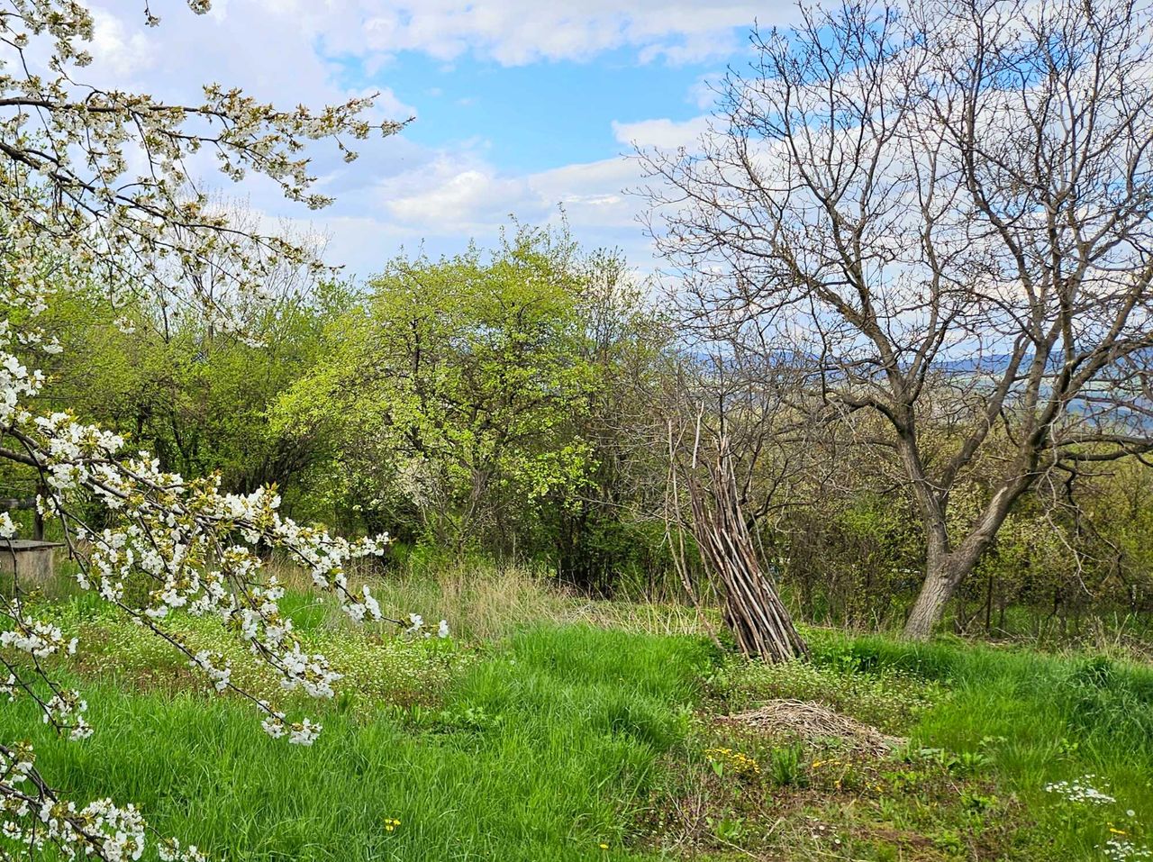 Продава се Парцел в с. Кралев дол, Област Перник - 1220 кв.м за 38 €/кв.м - Снимка #2