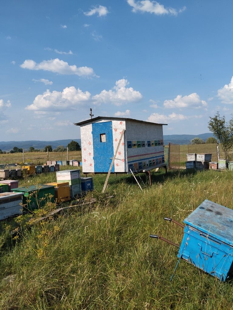 Containere apicole vind sau schimb