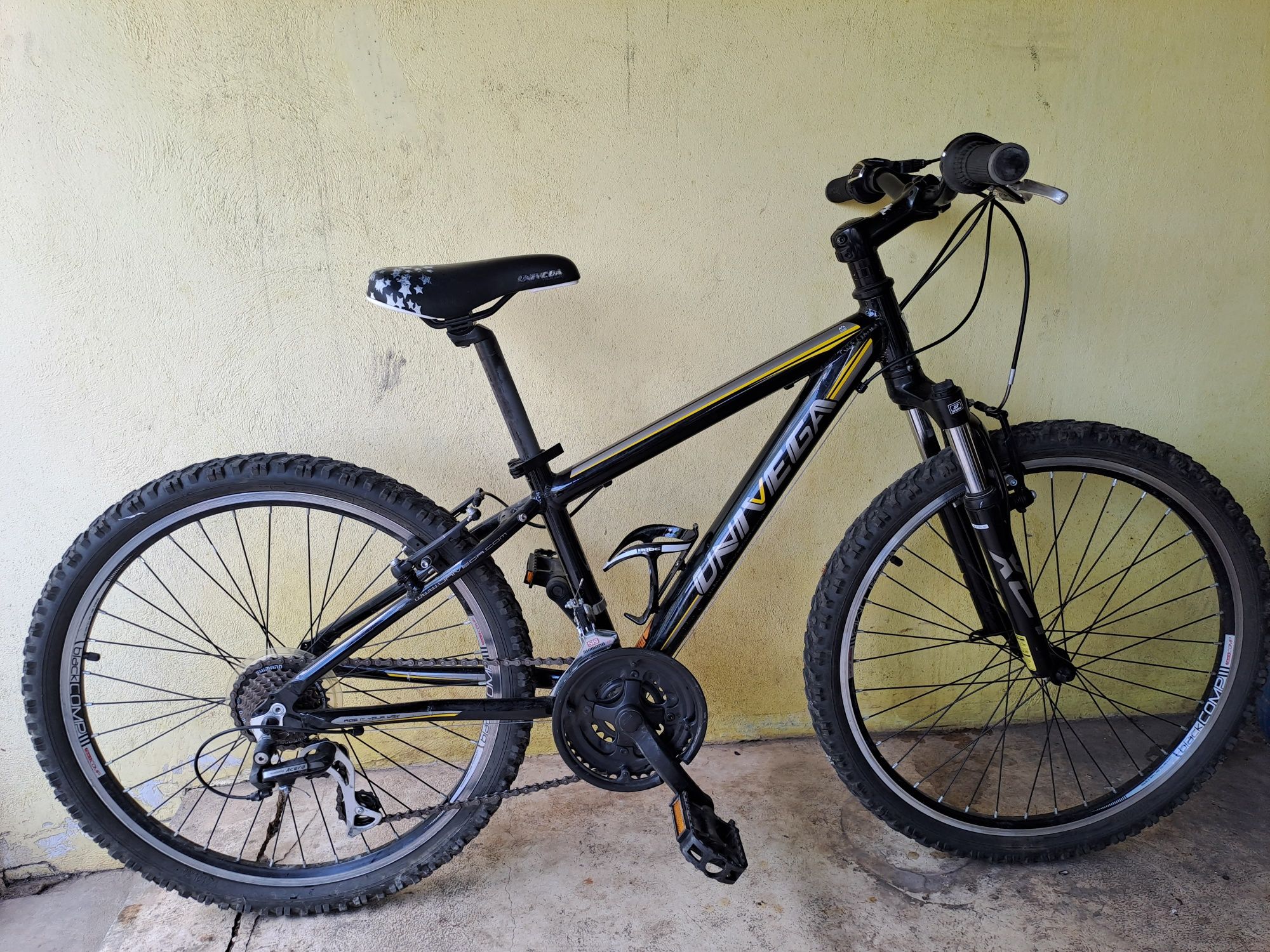 Bicicletã copii 24