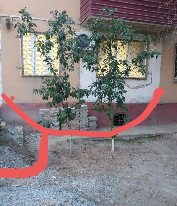 Shum bola yoninda 1-etaj 1 xonali kvartira sotiladi