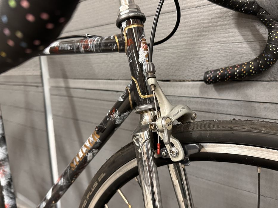 Bicicleta cursiera Steiner otel single speed