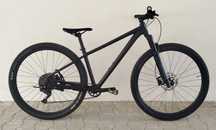 Specialized 29r 1x10 vit. rockshox Cube