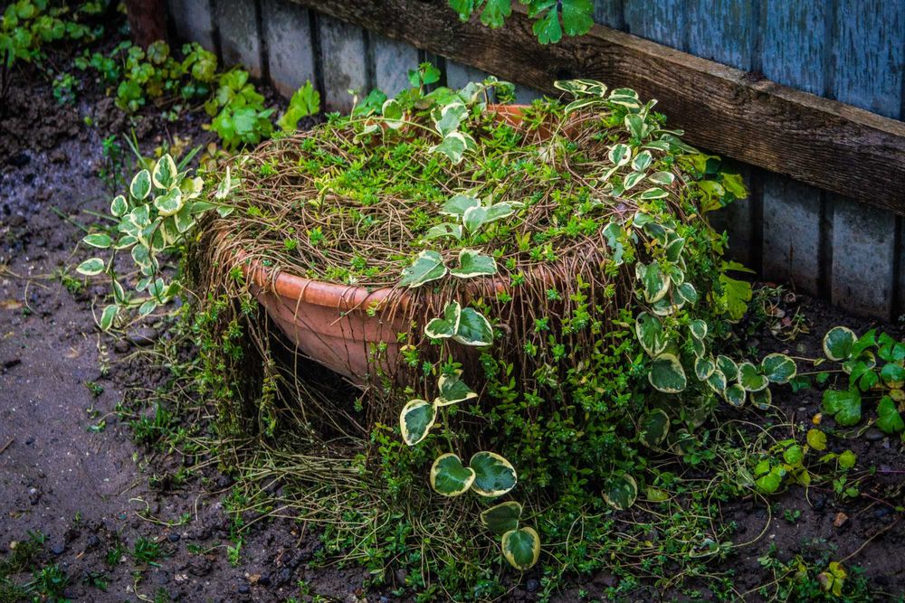 Obiectiv Full frame Photoline af zoom 35-80 mm montura Canon