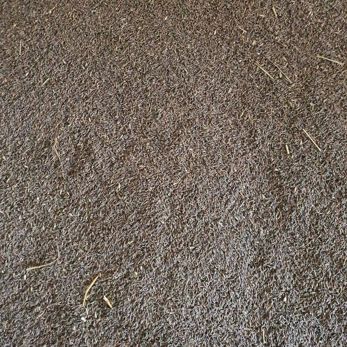 Secara panificatie ,ovaz negru , calitatea I !