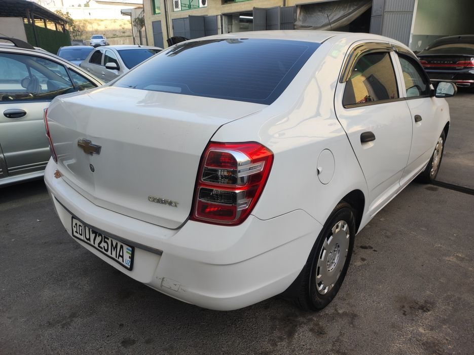 Kobilt 1paditsan umum urilmagan 2ktan petno