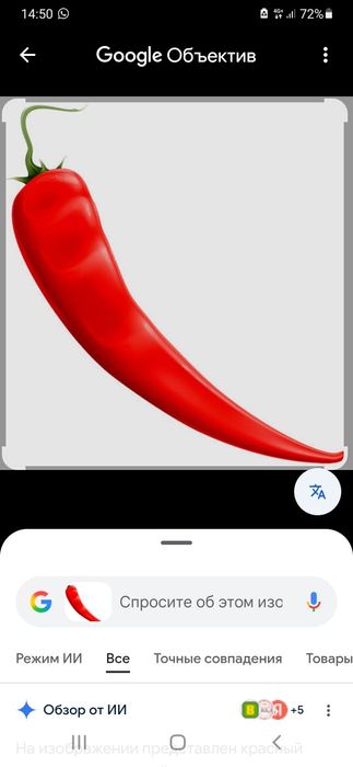 Острый перец продам 1000 за кг